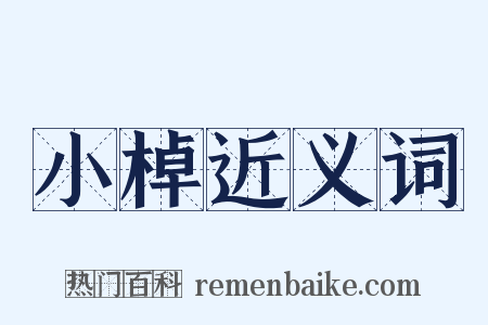 小棹近义词是什么意思的图片